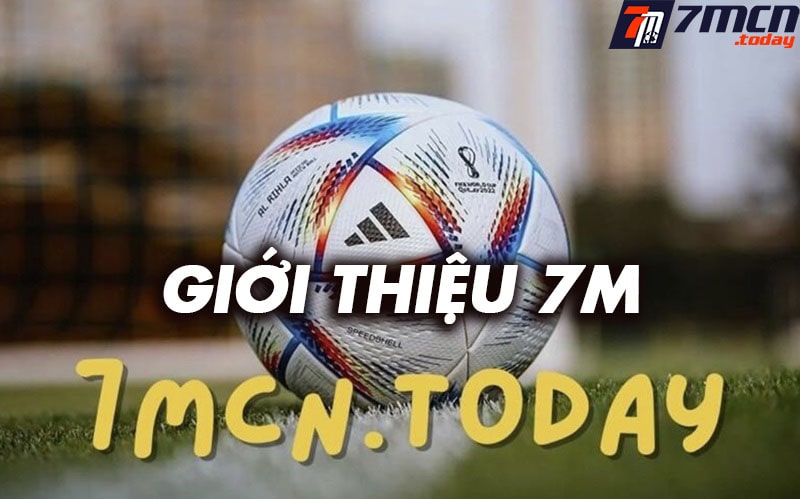 Giới thiệu ngon138.com